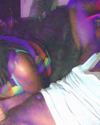 Swallow that bbc photo