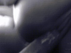BP1 (Backseat Passion 1) gif