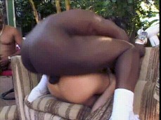 Pounding White Pussy gif