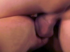 alektra doggy pierced stockings gif