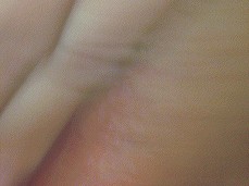 gushing my juice for him gif