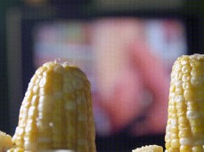 HARD SHUCKING LIKE YOU’VE NEVER SEEN! gif