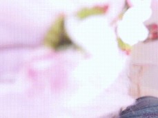 #blowjob #facial gif