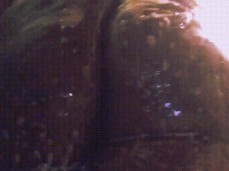 I love washing my big, fat ass gif