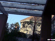 1 pink Shirt an 2 titz gif