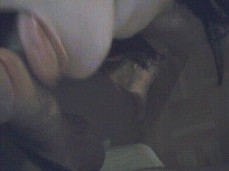 unique boner lessons gif