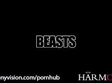 #brunette #riding gif