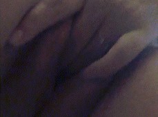 Playing with my pussy gif