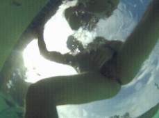 pool sex gif