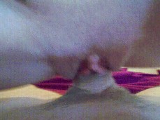 best cowgirl view gif