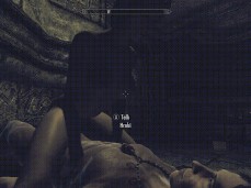 skyrim gif