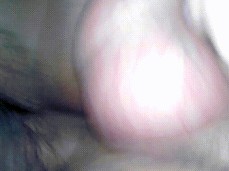 TIJUANENSES SEX RAW gif