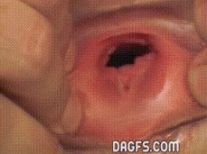 prueva abertura coño gif