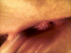 #julia #ophelia-rain #ytp gif