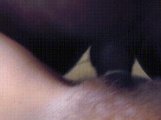 #interracial #redhead gif