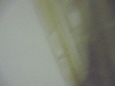 thai pisst in euro mund gif