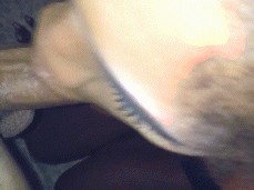 Long thick dick inside a pretty mouth with big lips gif