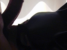 Pink Bunny ed il fantastico pompino gif