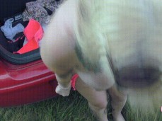 LuN4 0uTd00r "N 4r5cHf1cK w0lTTeN S1e?" gif