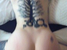 What will you plant this tree? gif