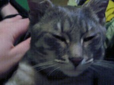 Giving My Pussy Attention gif