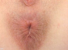 BUTTHOLE CLOSEUP gif