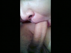 Morning blowjob gif