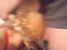 Hot blonde with pigtails face fucked hard gif