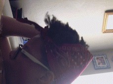 Suck lick and bob on my dick gif