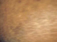 The "Fuck Your  Neighbor" Dance!!!!! gif