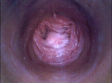 jounrey inside a pussy gif