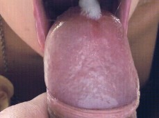 made daddy cum in my mouth gif