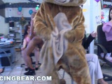 Dancing Bear Party gif