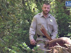 Horny Park Ranger Stumbles On Sexy Hairy Latin Stud 0102 2 gif