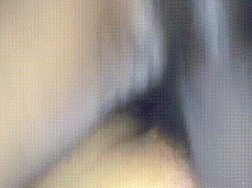 gushy puss gif