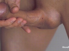 Cock connexion 1 gif