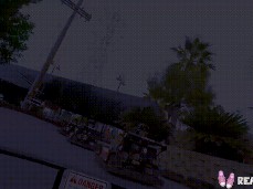 Anne-Marie Gingras gif