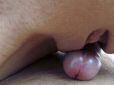 #pussy job #stroking gif