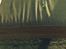 Blowjob toes showing gif