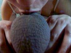 bj pov gif