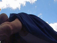 Super Shadow Flys In gif