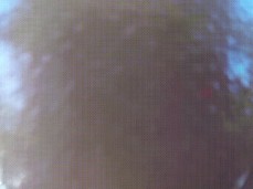 #big ass #grinding gif