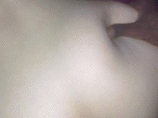 FUCKED HER LIKE SHE LIKES IT gif