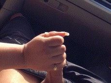 Lyft passenger jerked off gif