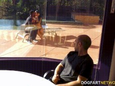 #wife #bbc #hubby watches #hubby jerks off gif