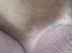 Cumming inside wet pussy gif