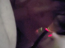Gay submissive sucking gif