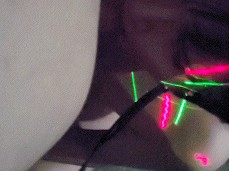 Gay submissive sucking dick gif