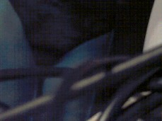 "-alert(document.domain)-" gif