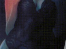 %3Cimg%20src%20onerror%3Dalert%281%29%3E gif